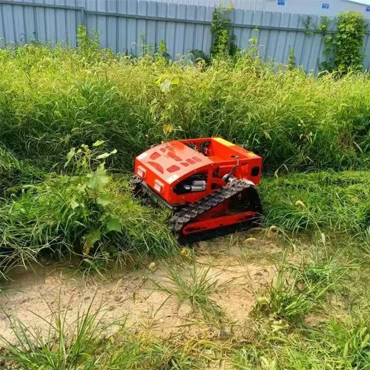 Slimme afstandsbediening roter - Smart Garden Trimmer recensie en prijs